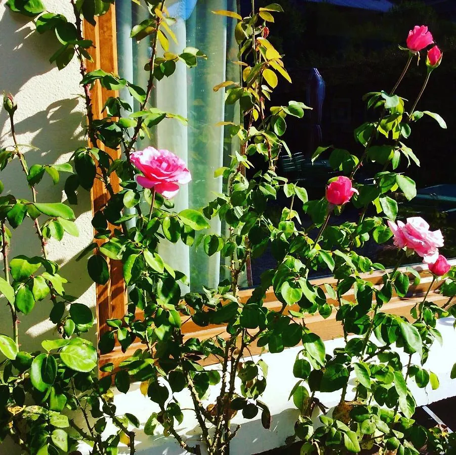 Au Refuge De Blanche Bed & Breakfast Seythenex
