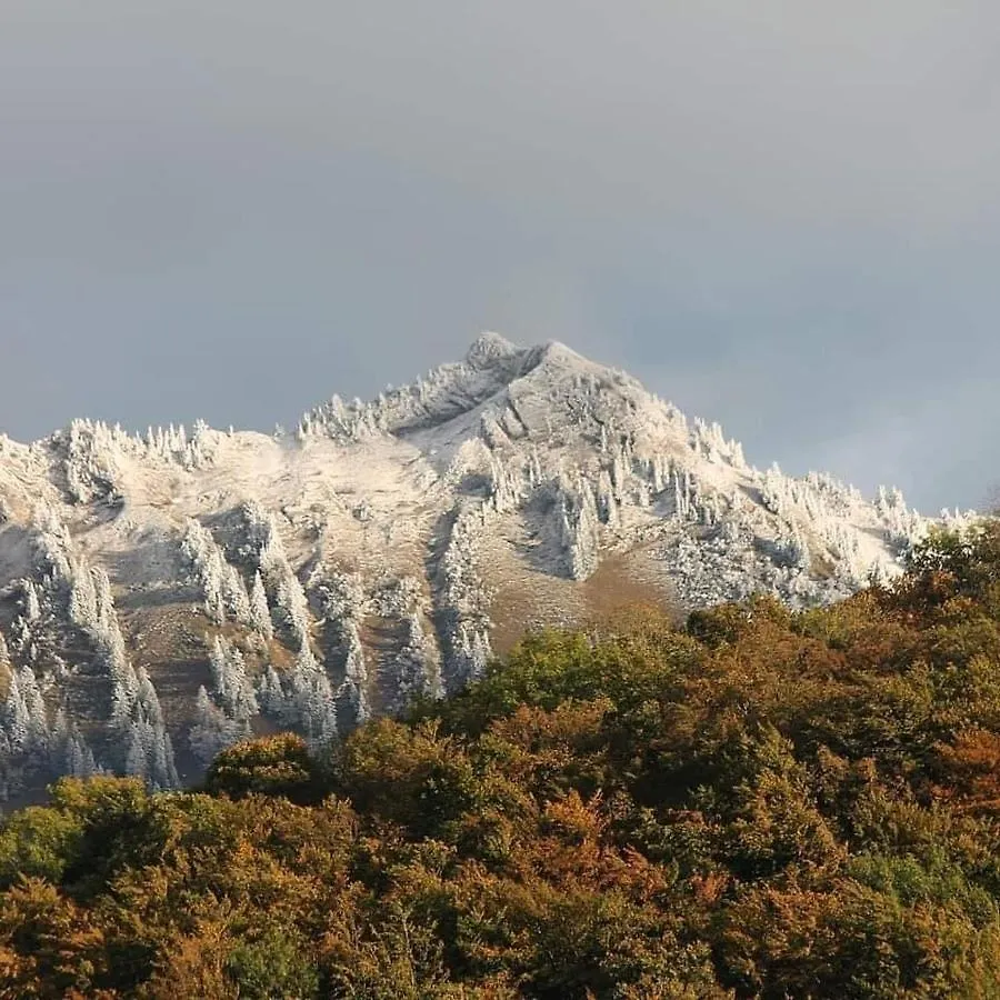 Au Refuge De Blanche Bed & Breakfast Seythenex France